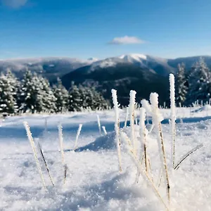 Apartment Panorama 19, Špindlerŭv Mlýn